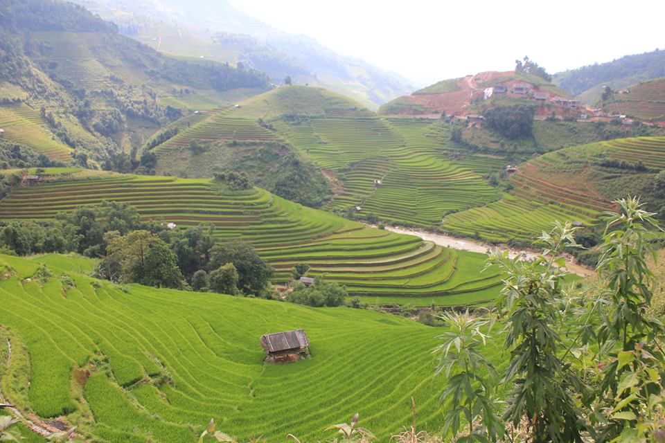 ruộng bậc thang